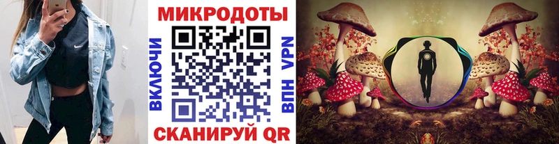 Купить где  Шумиха  Галлюциногенные грибы Cubensis 